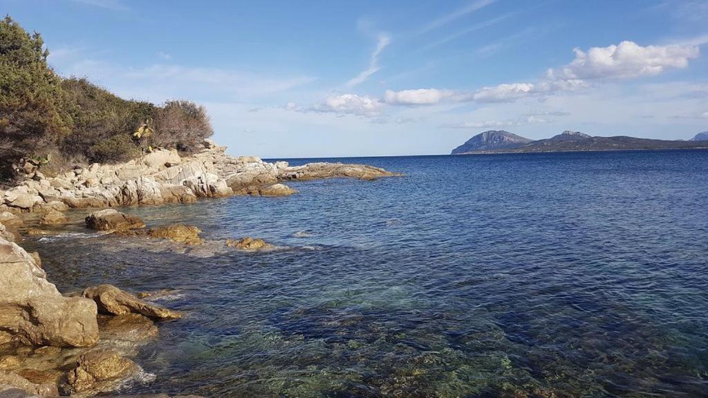 Appartamento A Porto Rotondo - Villaggio Punta Volpe - Iun S5393 מראה חיצוני תמונה